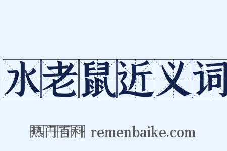 水老鼠近义词是什么意思的图片
